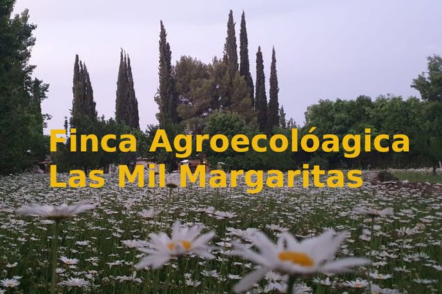 Finca Agroecologica Las Mil Margaritas